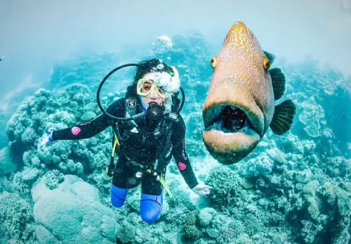 Great Barrier Reef Day Trip