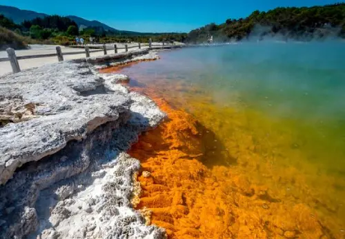 Walk the Steaming Paths of Wai-O-Tapu
