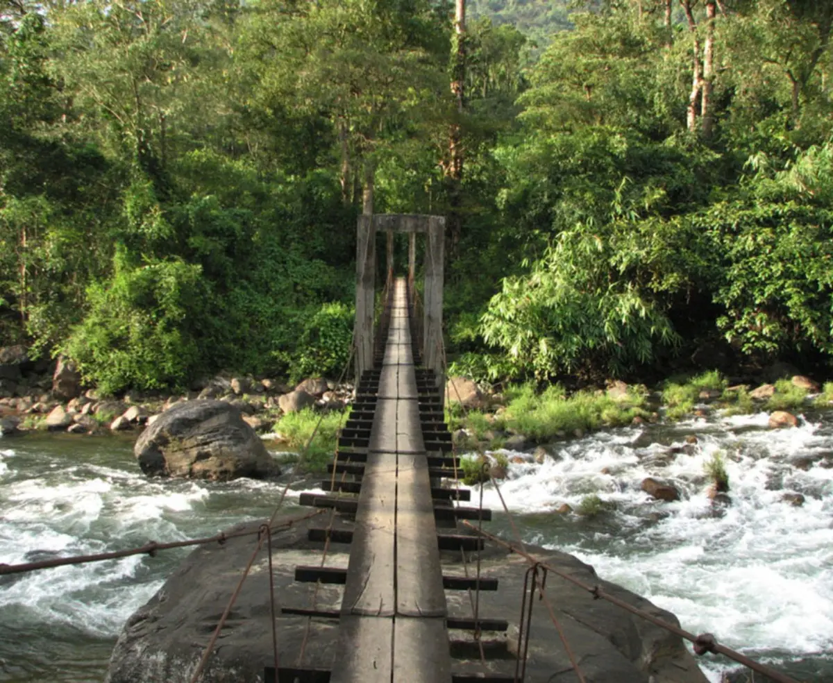 Mankulam Nature Trails