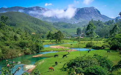 Anamudi hills