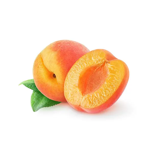 APRICOT