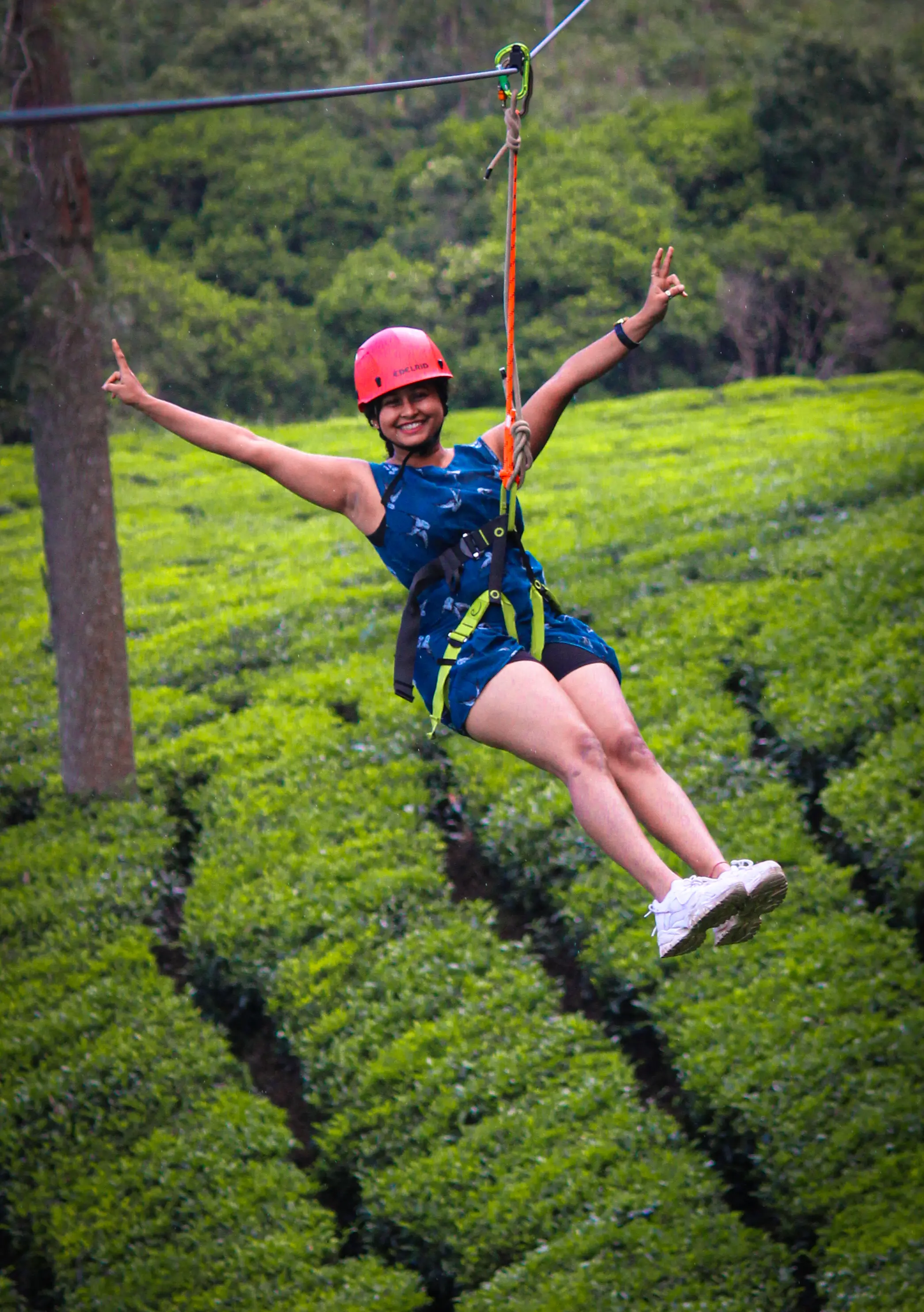Munnar to Suryanelli: Scenic Places to Visit and Kerala's Longest Dual Zipline