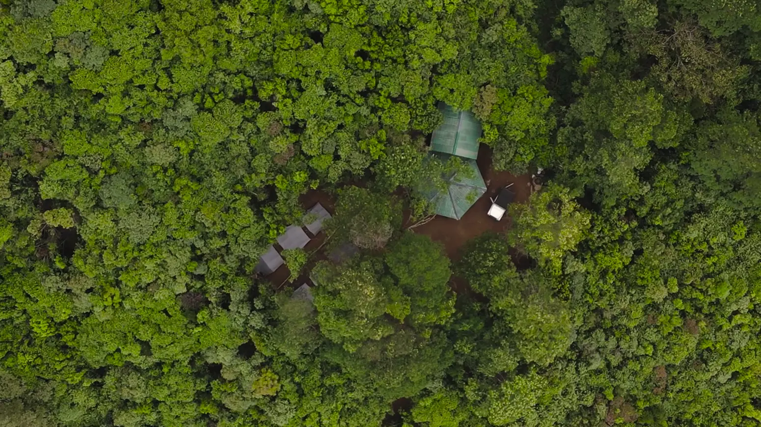 south-india-s-highest-and-most-enchanting-campsite-tea-forest-munnar