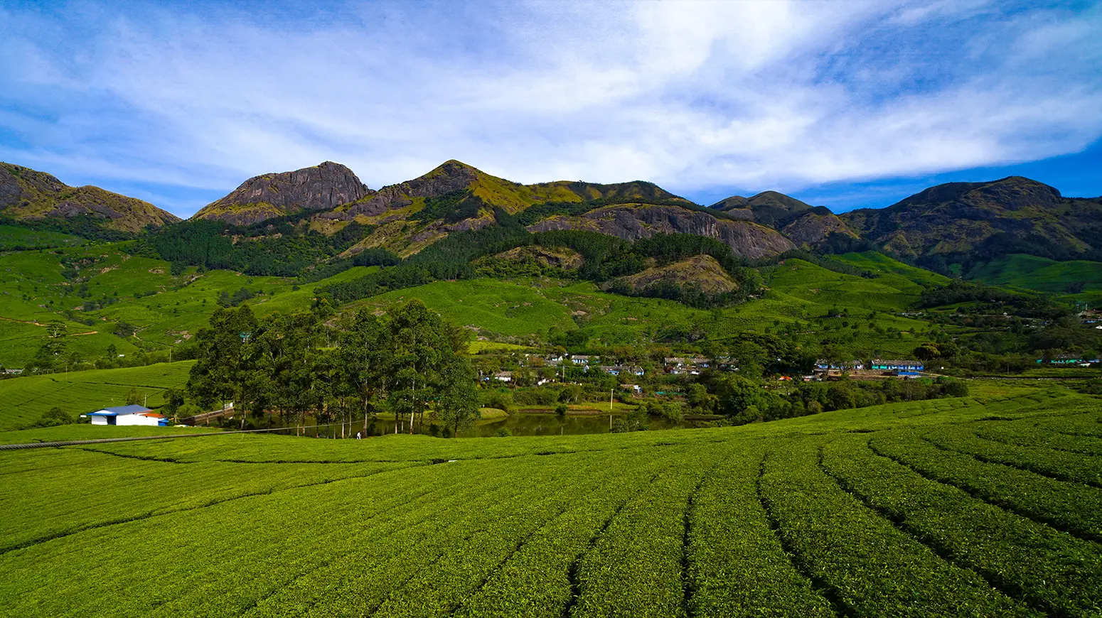 Discover the Ultimate Camping Experience in Suryanelli, Munnar