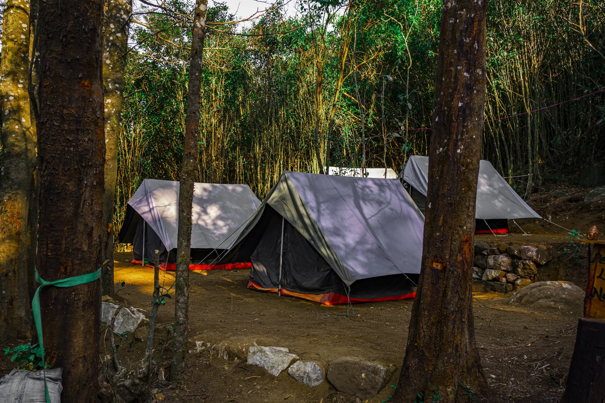 Tent Stay in Kolukkumalai, Munnar 