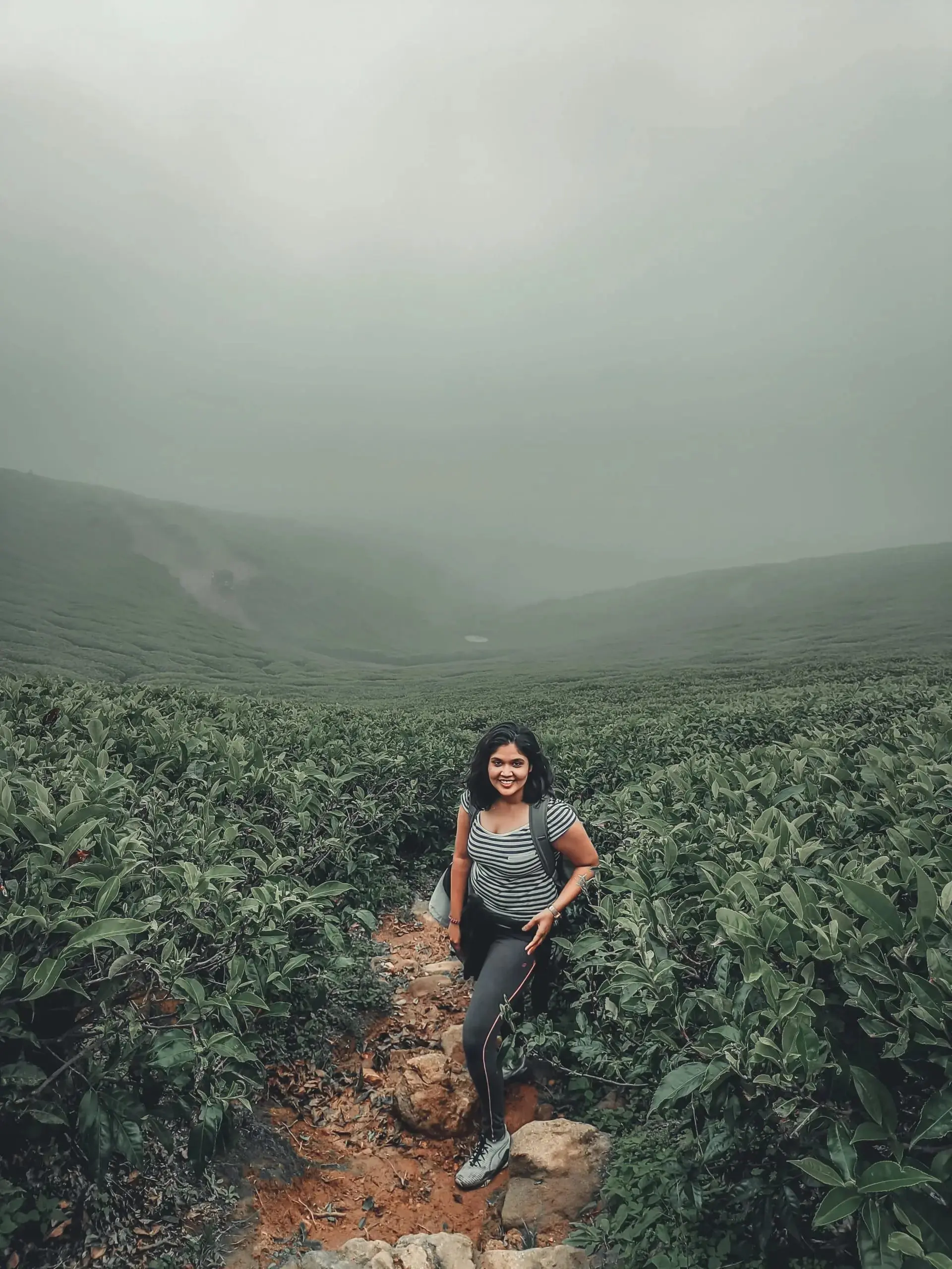 Trekking in Munnar: A Journey Through Nature’s Paradise 