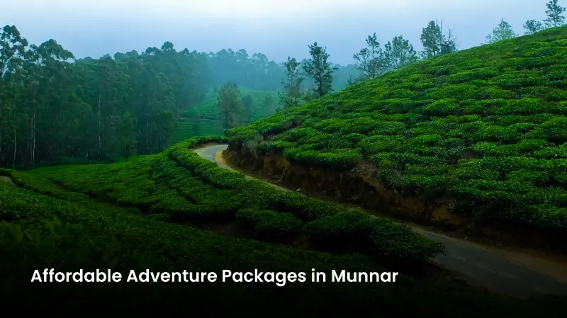 Affordable Adventure Packages in Munnar 