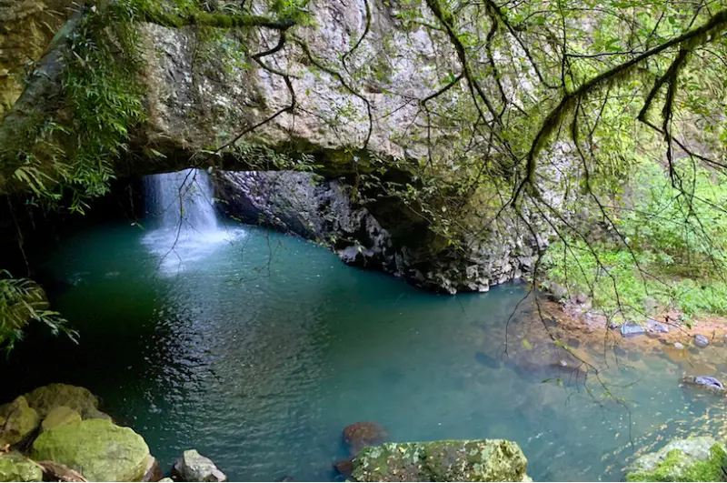 Springbrook National Park Upgrades