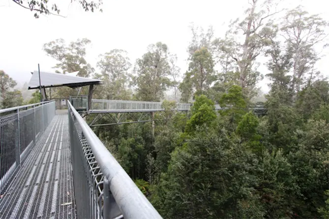 Tahune AirWalk