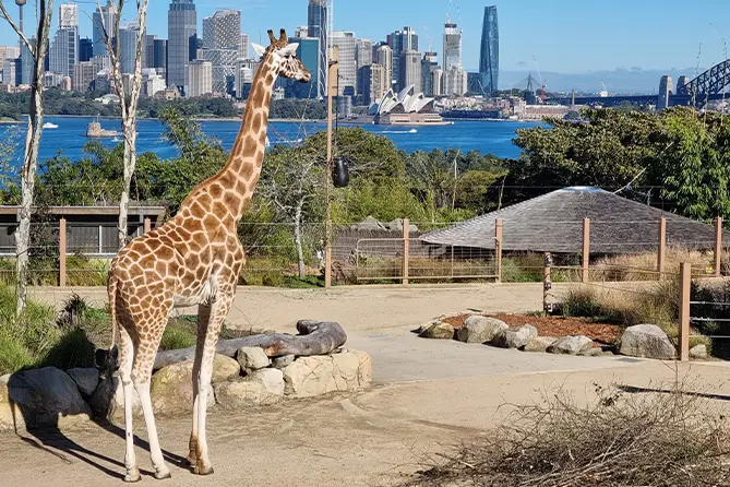 Taronga Zoo