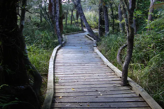 Waikato River Walk