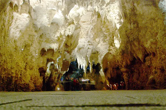 Te Anau Glowworm Caves