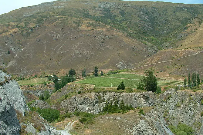 Gibbston Valley