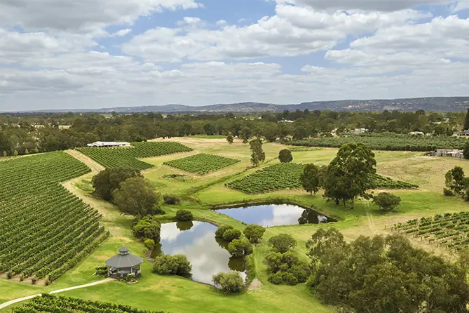 Swan Valley