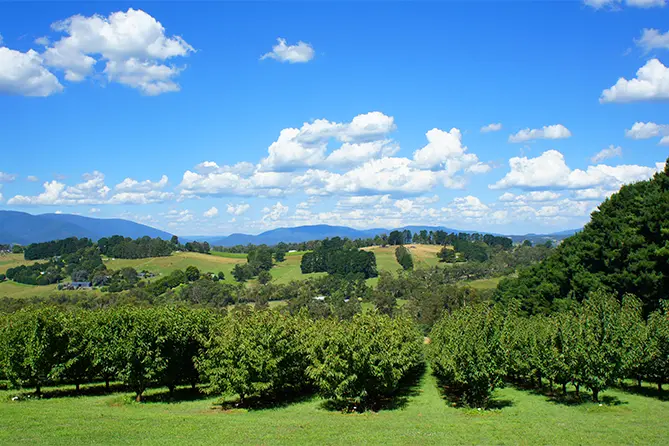 Yarra Valley