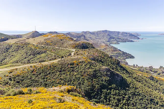 Port Hills