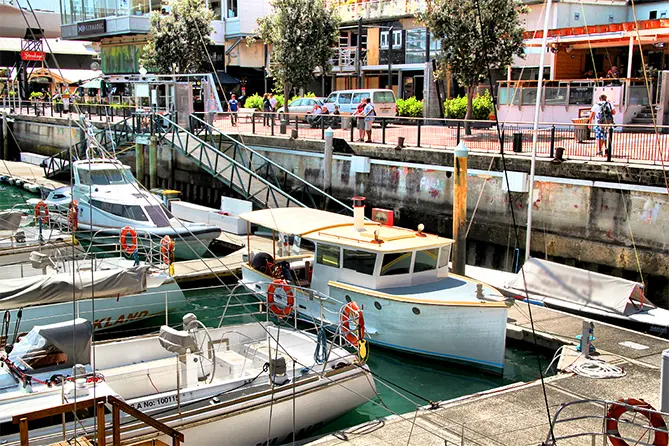 Auckland Harbour