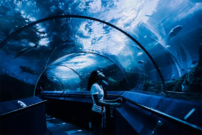 Sea Life Aquarium