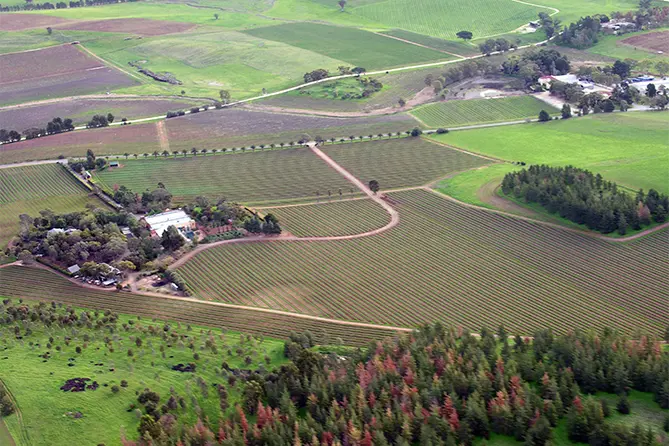 Barossa Valley