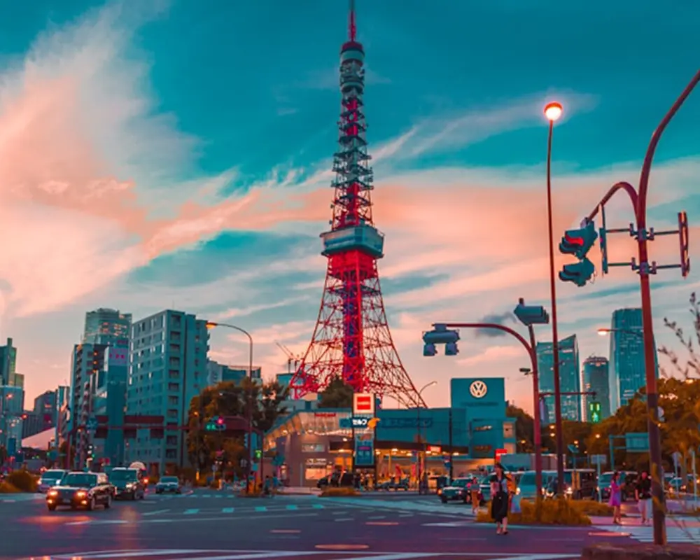 Tokyo City Tour