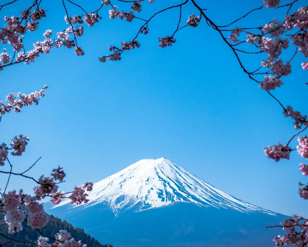 Mount Fuji Hakone