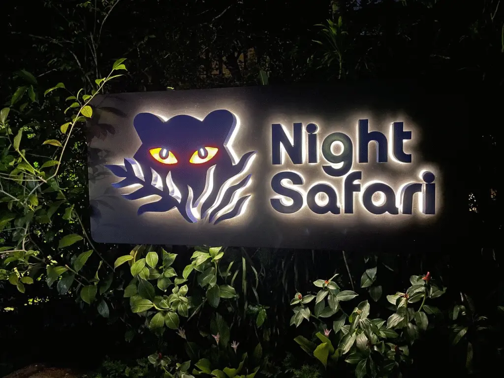 Night Safari