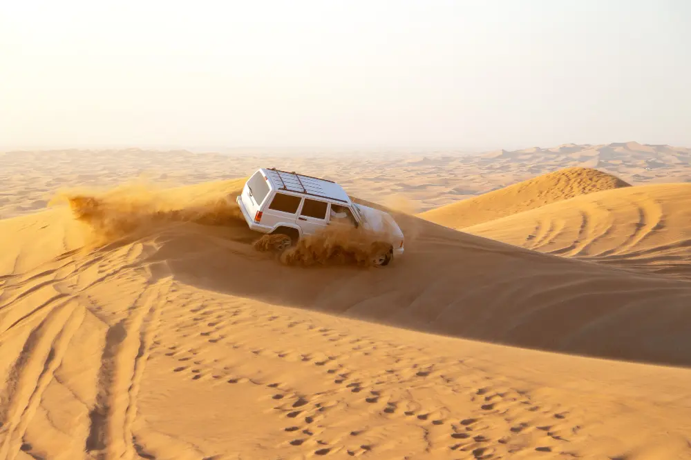 Desert Safari