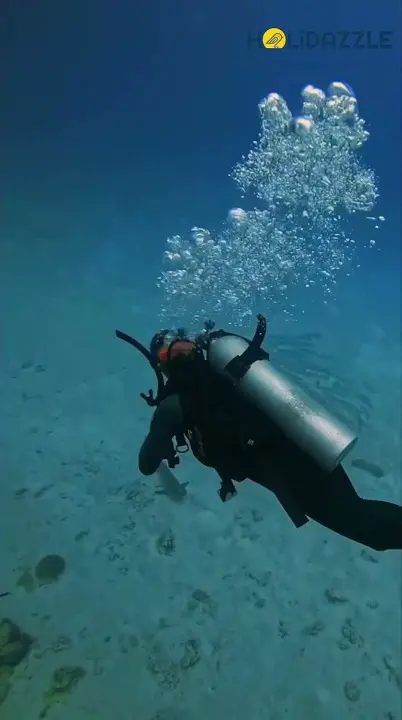 Cairns 4-Day Adventure from just $949 AUD!