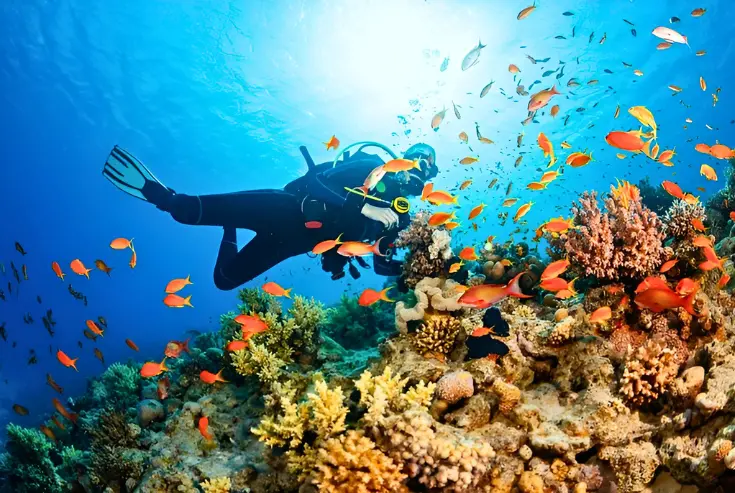 Scuba Diving in Andaman