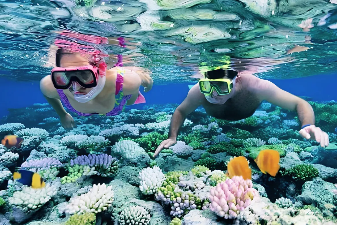 Snorkeling Andaman