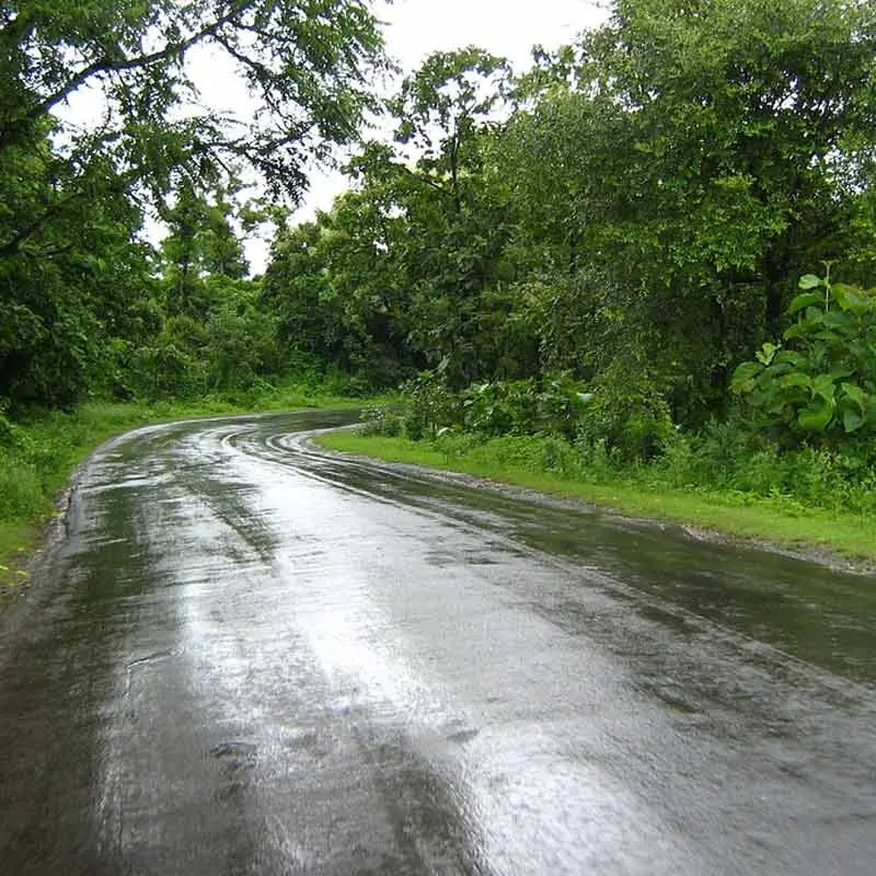 Monsoon tourism