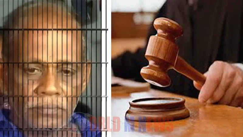 സജിത വധക്കേസ് : പ്രതി ചെന്താമരയ്ക്ക് ഇരട്ട ജീവപര്യന്തവും മൂന്നേകാൽ ലക്ഷം രൂപ പിഴയും 5വർഷം തടവും ശിക്ഷ