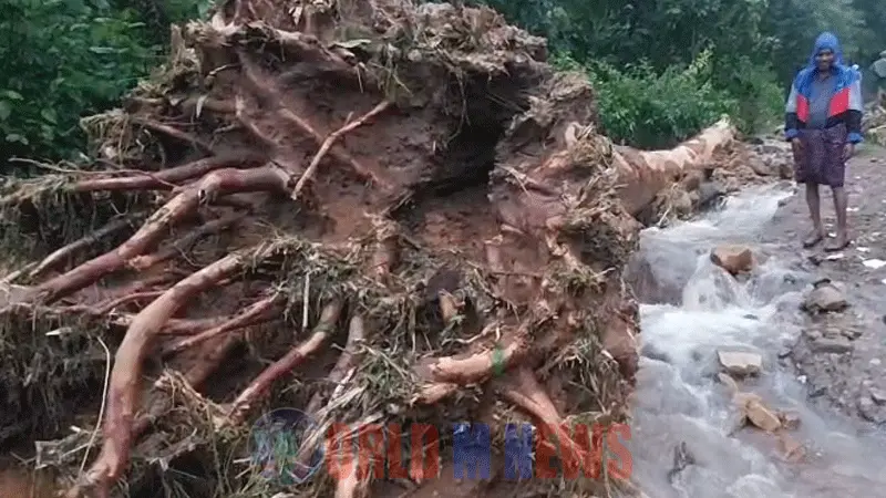 ഇടുക്കിയിൽ മഴ ശക്തമായി ! മുല്ലപ്പെരിയാർ ജലനിരപ്പ് ഉയരുന്നു...