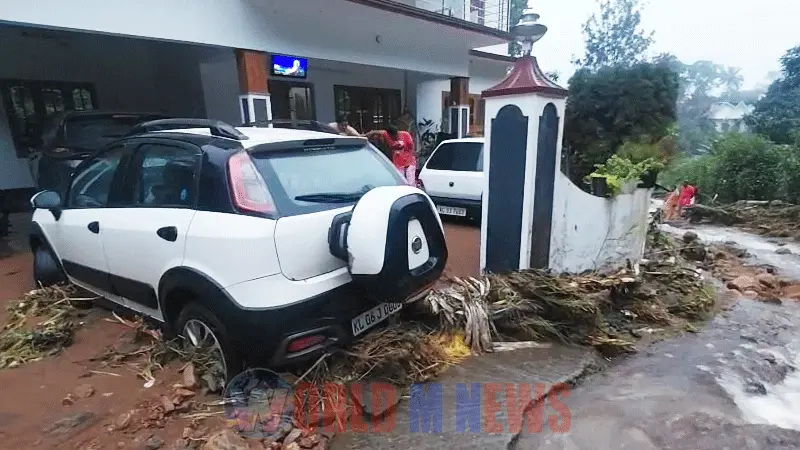 ഇടുക്കിയിൽ മഴ ശക്തമായി ! മുല്ലപ്പെരിയാർ ജലനിരപ്പ് ഉയരുന്നു...