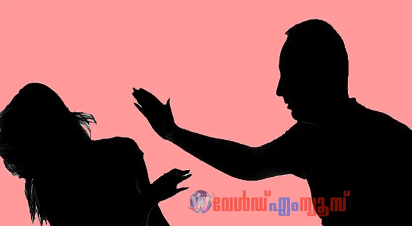 പ്രസവിച്ചത് പെൺകുഞ്ഞിനെ ആയതിൻ്റെ പേരിൽ മർദ്ദനം :ഭാര്യയുടെ പരാതിയിൽ യുവാവിനെതിരെ കേസ്