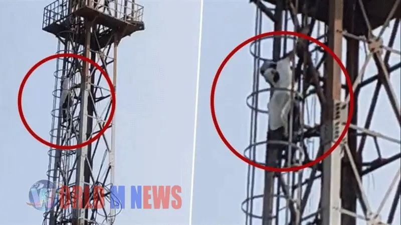 വീട് വൃത്തിയാക്കാത്തതിന് വഴക്ക് പറഞ്ഞു : മൊബൈല് ടവറിന് മുകളില് കയറി ഇരുന്ന് യുവതിയുടെ പ്രതിഷേധം