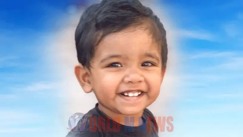 നാലര വയസുകാരനെ വെള്ളക്കെട്ടില് വീണു മരിച്ച നിലയില് കണ്ടെത്തി