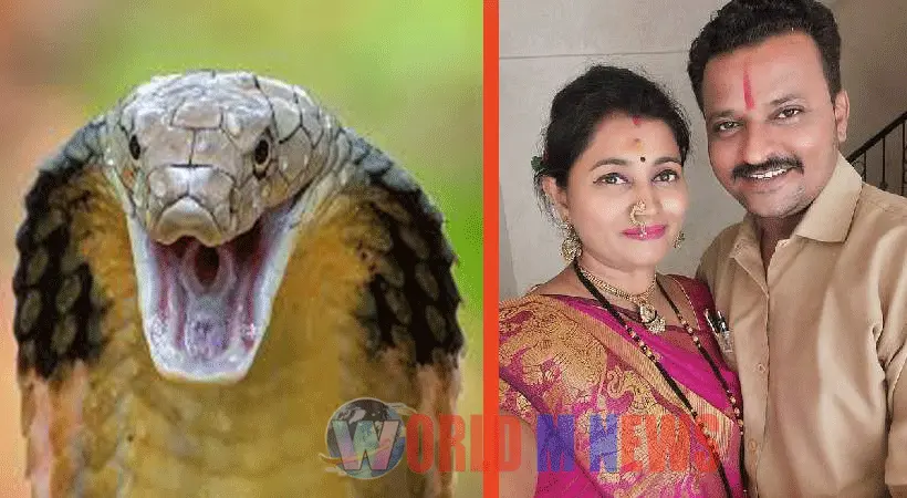 യുവതിയെ പാമ്പിനെ കൊണ്ട് കടിപ്പിച്ച് കൊലപ്പെടുത്തി: ഭർത്താവ് ഉൾപ്പടെ മൂന്നുപേർ മൂന്നുവർഷങ്ങൾക്കുശേഷം അറസ്റ്റിൽ