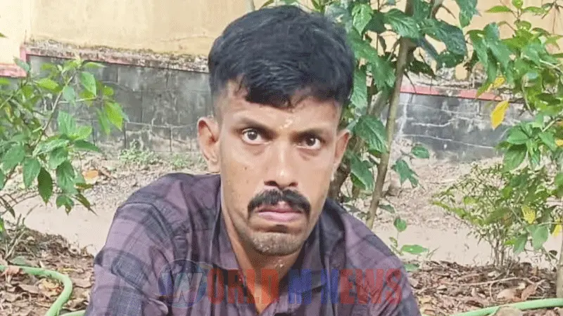  മസ്തിഷ്ക മരണം സംഭവിച്ച ഷിബുവിൻ്റെ ഹൃദയം നേപ്പാൾ സ്വദേശിനിക്ക് :എറണാകുളം ജനറൽ ആശുപത്രിയിലെ  ആദ്യ ഹൃദയമാറ്റ ശസ്ത്രക്രിയ ഇന്ന് 