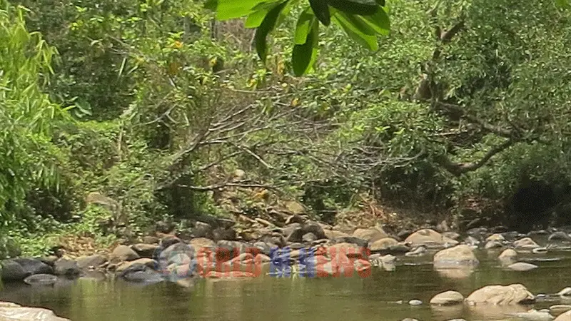 കൊട്ടിയൂരിൽ സ്വയം കഴുത്തറുത്ത് വനത്തിനുള്ളിലേക്ക് ഓടിക്കയറിയ മധ്യവയസ്കനെ കാണാനില്ല