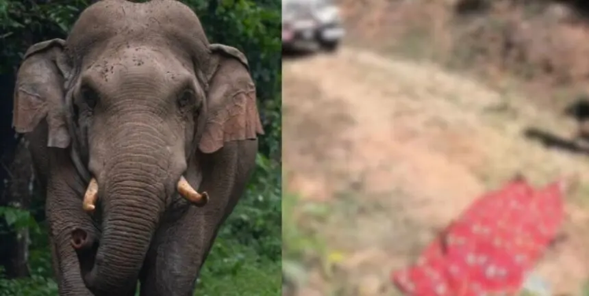 കാട്ടാന ആക്രമണത്തിൽ യുവാവ് കൊല്ലപ്പെട്ട സംഭവത്തിൽ പ്രതിഷേധവുമായി നാട്ടുകാർ
