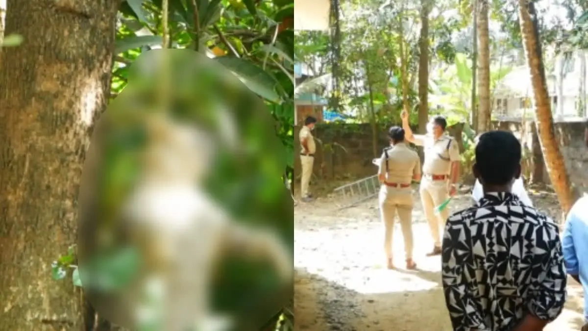 മരത്തിന് മുകളിൽ കെട്ടി തൂക്കി പൂച്ചയെ കൊന്നവരെ പോലീസ് തിരയുന്നു
