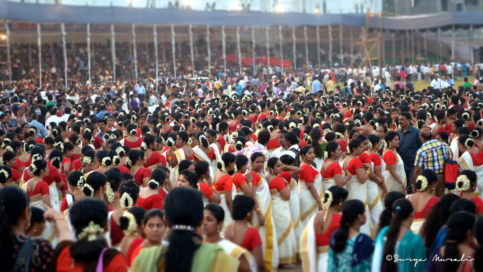 രാഗസുധ രമേഷിന് വിട !