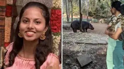 ഹിപ്പോപ്പൊട്ടാമസിൻ്റെ ആക്രമണത്തിൽ മൃഗഡോക്ടർ കൊല്ലപ്പെട്ടു