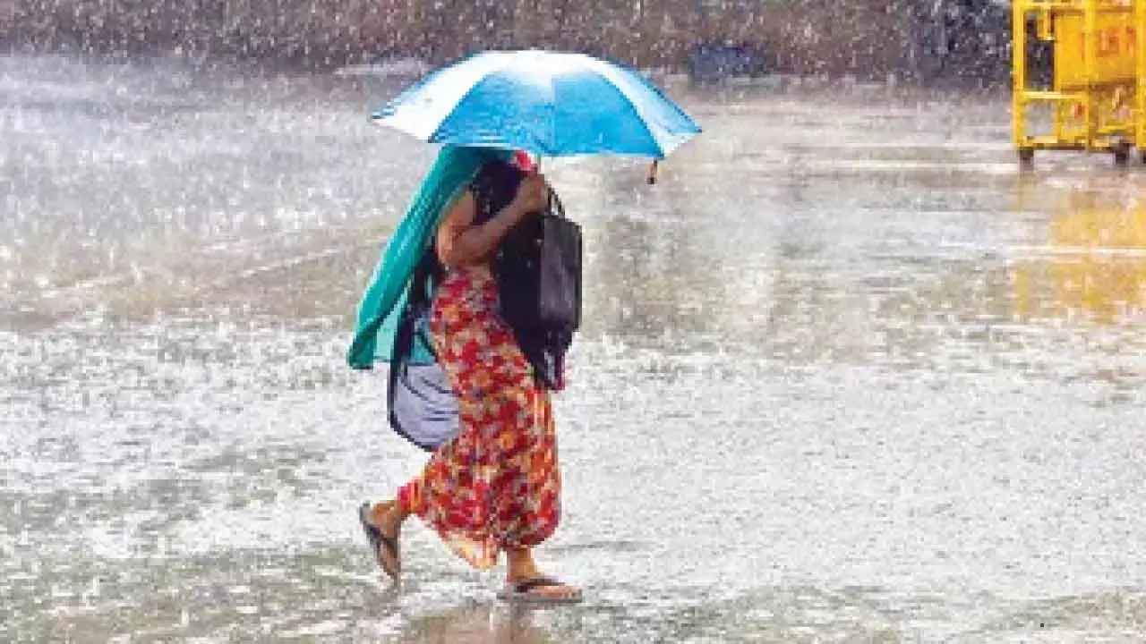 സംസ്ഥാനത്ത് മഴ കനക്കും; വിവിധ ജില്ലകളിൽ യെലോ അലർട്ട്