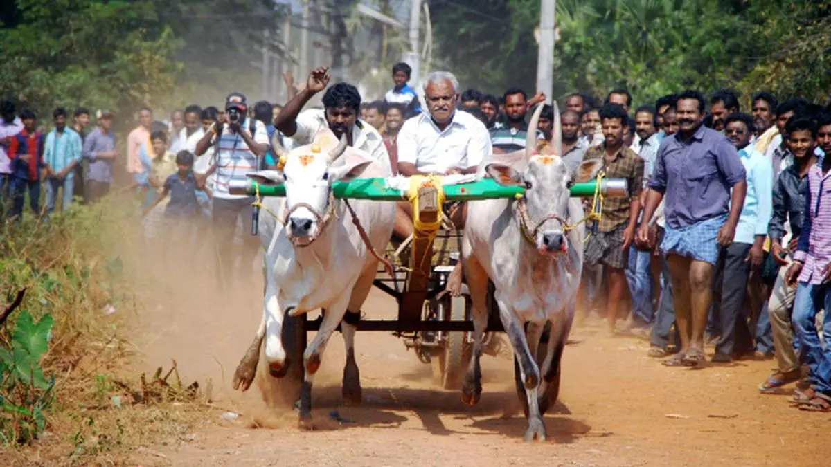 തമിഴ്‌നാട്ടിൽ നടന്ന  കാളവണ്ടിയോട്ടത്തിന്  സാക്ഷ്യം വഹിച്ചത് ആയിരങ്ങൾ