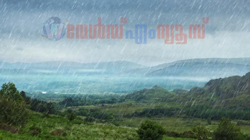 പെരുമഴക്കേരളം  : നാളെ 5 ജില്ലകളില്‍ റെഡ് അലര്‍ട്ട്, 4ജില്ലകളില്‍ വിദ്യാഭ്യാസ സ്ഥാപനങ്ങൾക്ക് അവധി