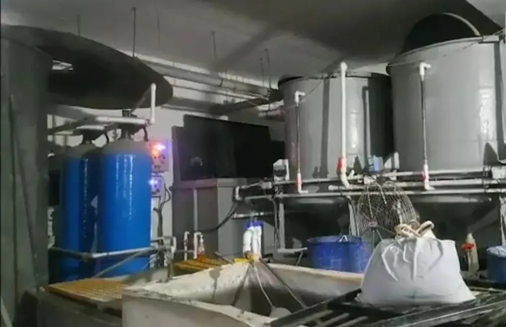 സെപ്റ്റിക് ടാങ്ക് വൃത്തിയാക്കുന്നതിനിടെ വിഷവാതകം ശ്വസിച്ച് 4 തൊഴിലാളികൾ മരിച്ചു