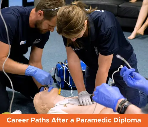 Career Paths After a Paramedic Diploma: Clinics, Ambulance Services, Research & Teaching