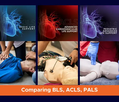 Comparing BLS, ACLS, PALS: Which Life Support Course Should You Take?